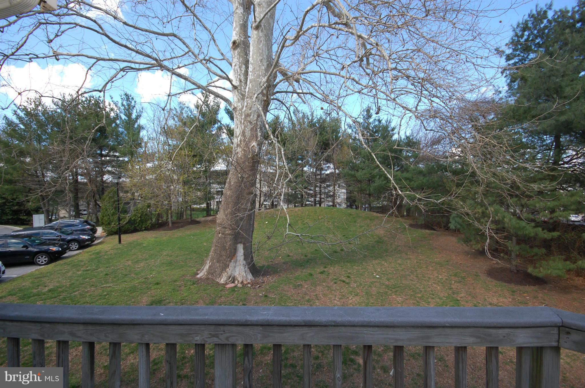 6889 Old Waterloo Road, Unit 16D Elkridge, MD 21075 - Photo 15 of 17 Side View from Deck