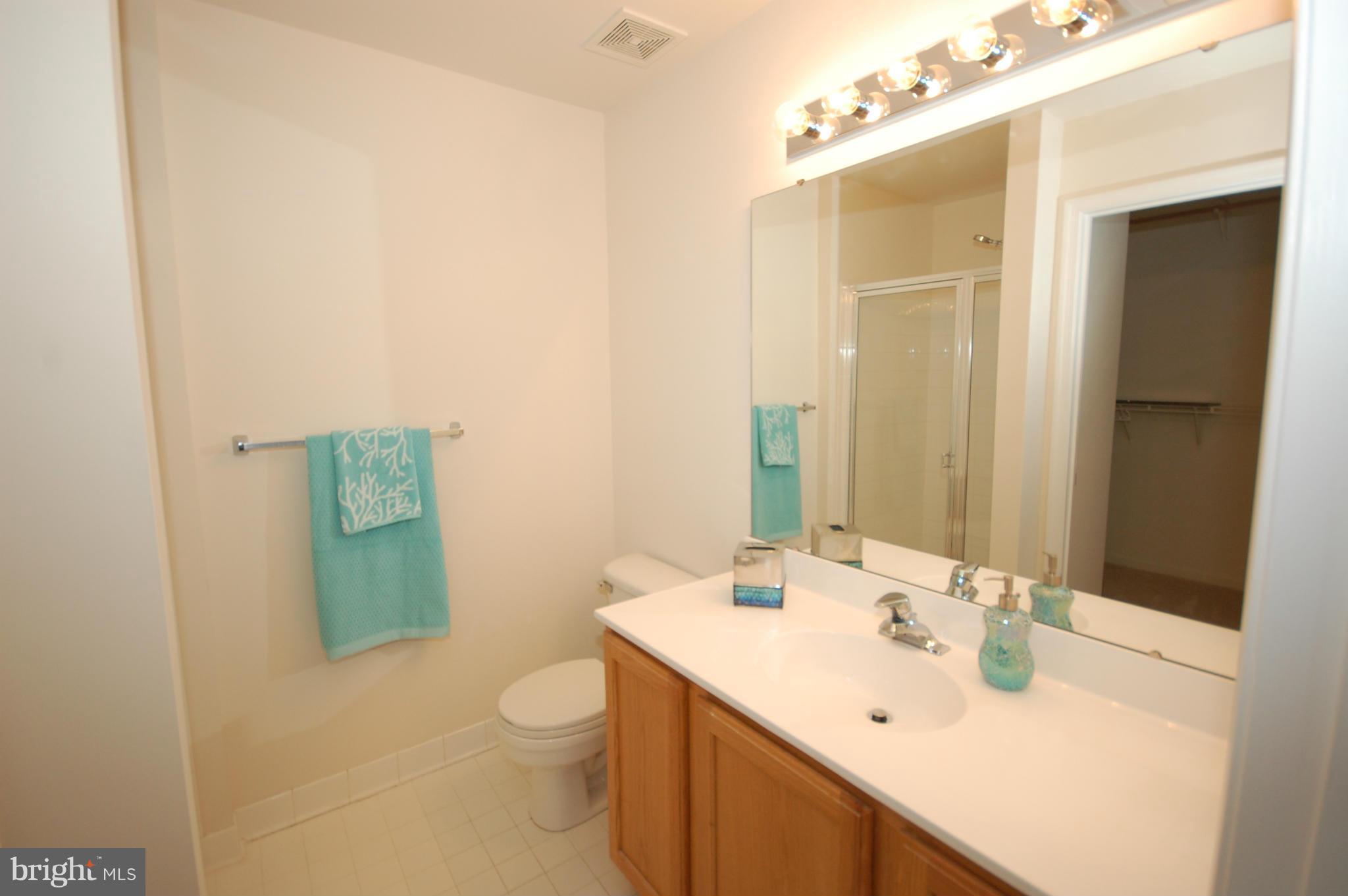 6889 Old Waterloo Road, Unit 16D Elkridge, MD 21075 - Photo 8 of 17 Bath (Master)