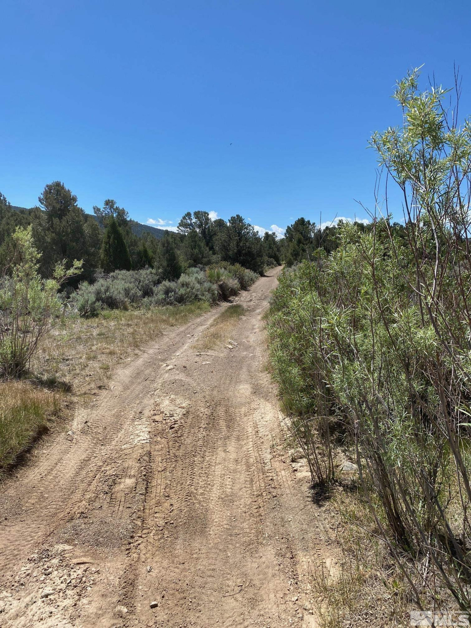 Tbd Eldorado Canyon Road Carson City, NV 89701 - Photo 9 of 20 Photo 9