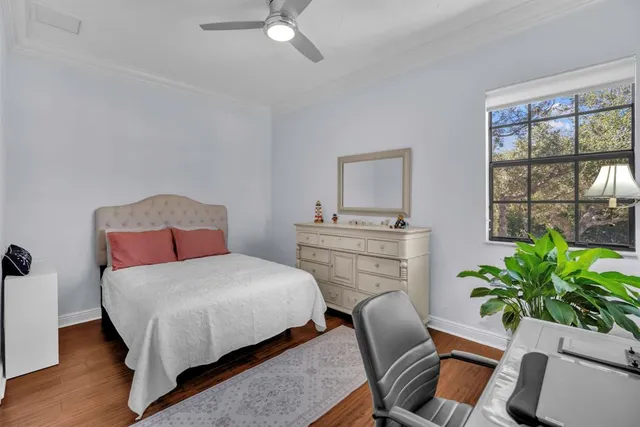 a couple of potted plants in front of door