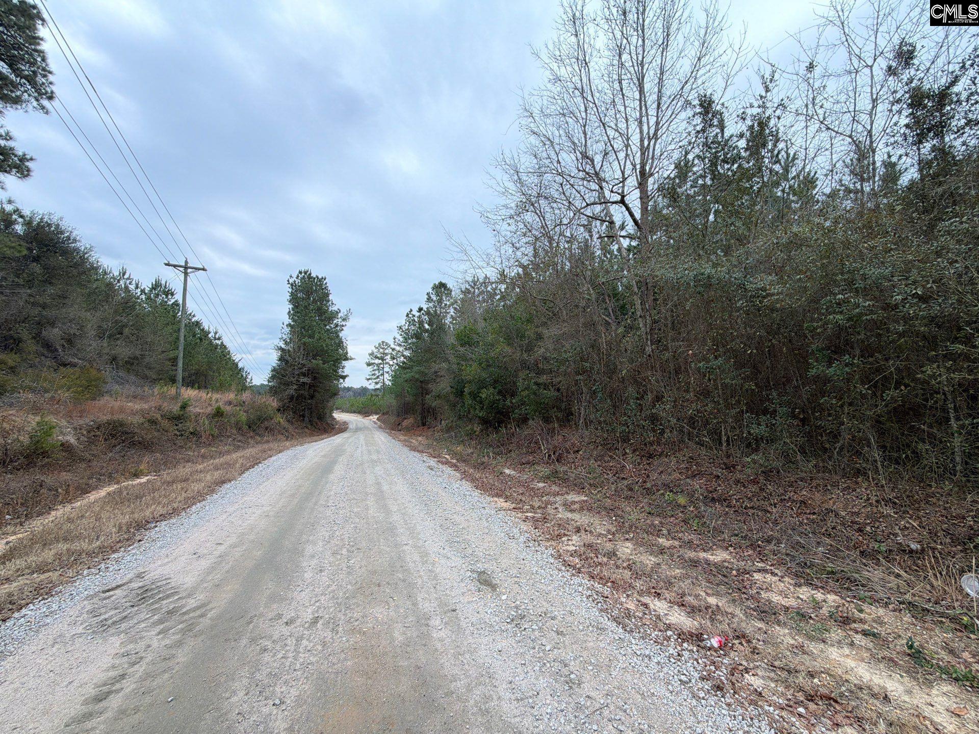 2 Jc Barefoot Road, Unit BFF II 2 Patrick, SC 29584 - Photo 4 of 13