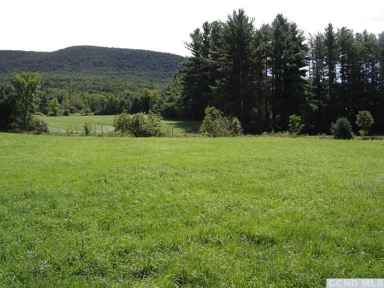 221 County Rte 56 - Big Hollow Road Windham, NY 12454 - Photo 5 of 10 Photo 5