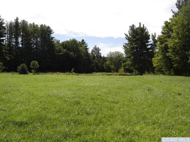 221 County Rte 56 - Big Hollow Road Windham, NY 12454 - Photo 8 of 10 Photo 8