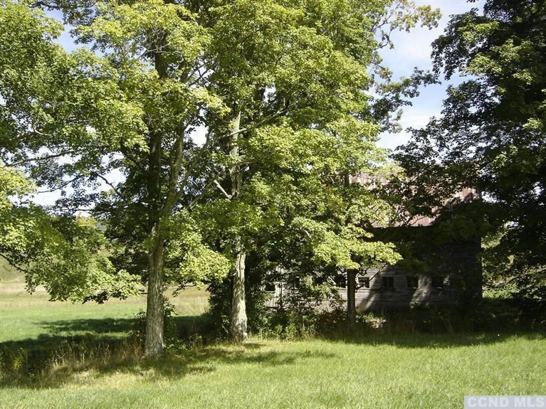 221 County Rte 56 - Big Hollow Road Windham, NY 12454 - Photo 10 of 10 Photo 10