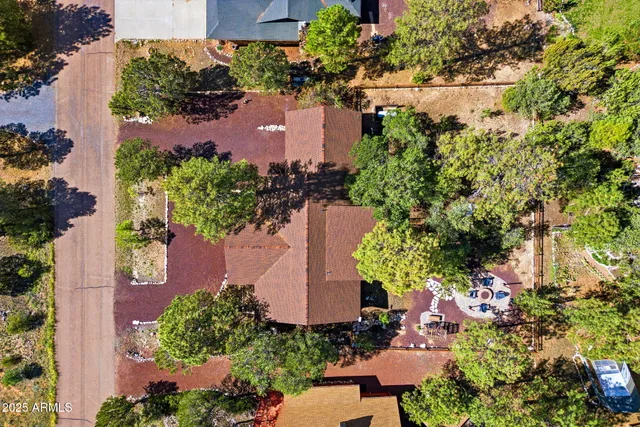 a view of a park with large trees