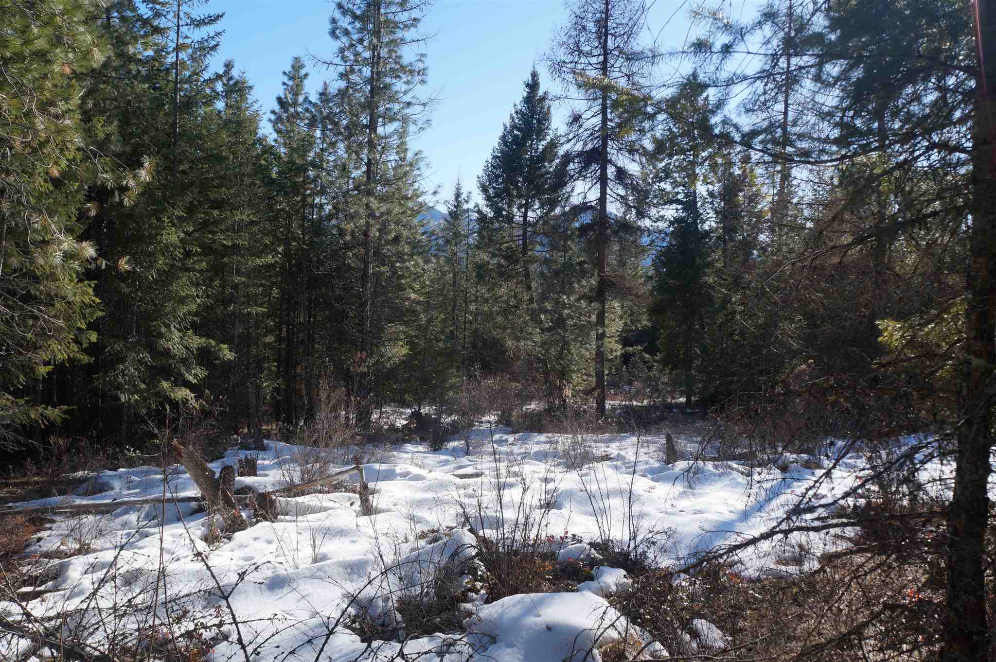 2024 X Summit Valley Road Addy, WA 99101 - Photo 3 of 18