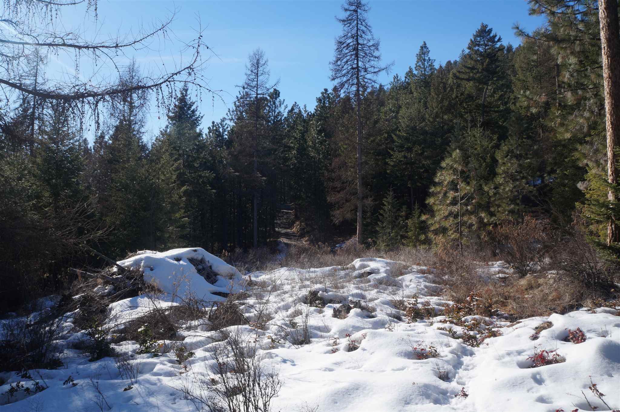 2024 X Summit Valley Road Addy, WA 99101 - Photo 4 of 18