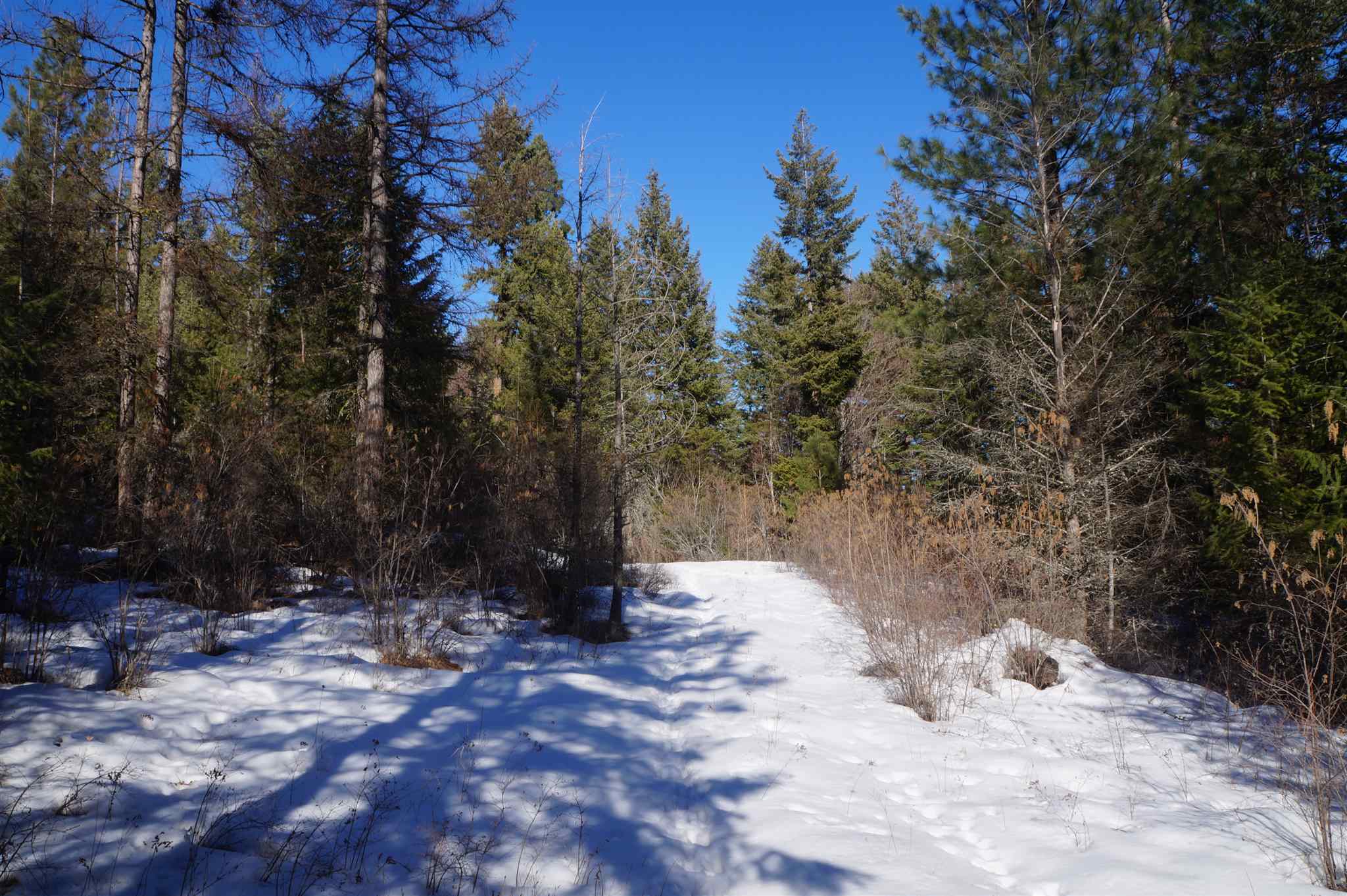 2024 X Summit Valley Road Addy, WA 99101 - Photo 5 of 18