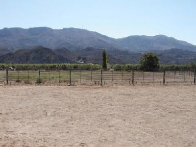 283 Willard Road Santa Paula, CA 93060 - Photo 4 of 7 Gallery Image 4
