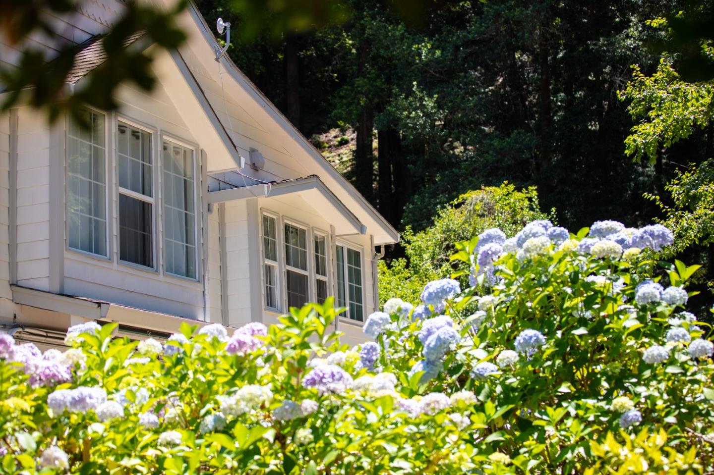 1003 Laurel Glen Road Soquel, CA 95073 - Photo 5 of 101