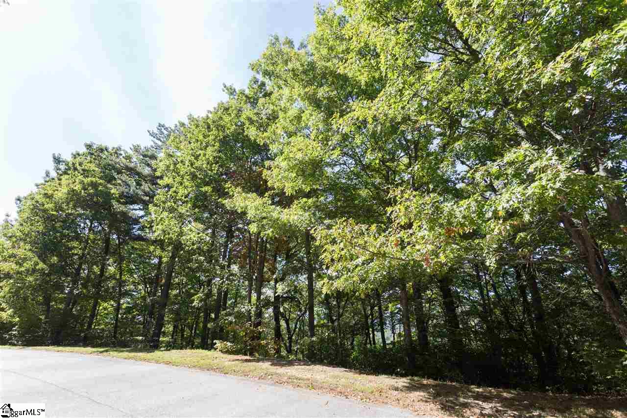 102 Upper Ridge Way Travelers Rest, SC 29690 - Photo 3 of 5 Gallery Image 3
