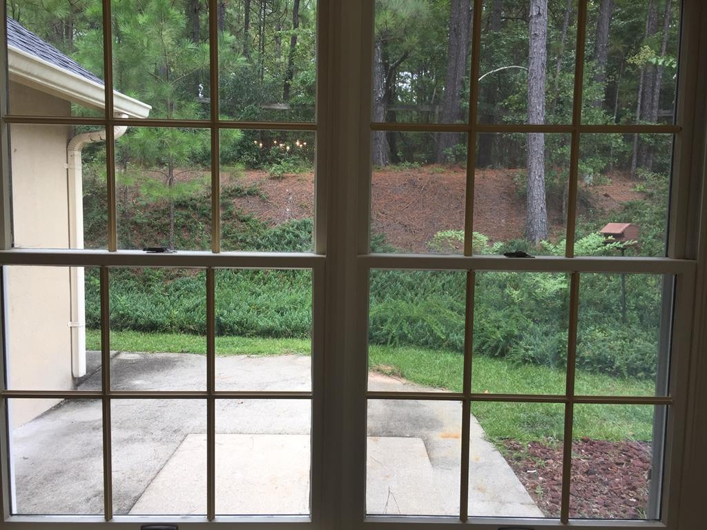 117 Boxwood Road Aiken, SC 29803 - Photo 17 of 21