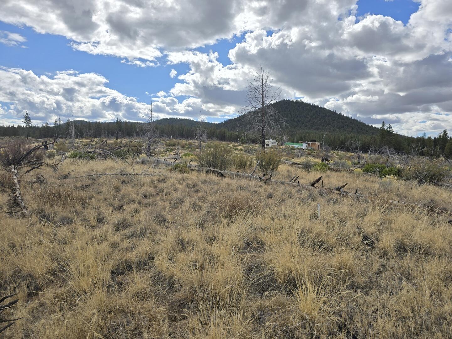 0 Partin Drive, Unit 19 Beatty, OR 97621 - Photo 11 of 15 20241012_141136