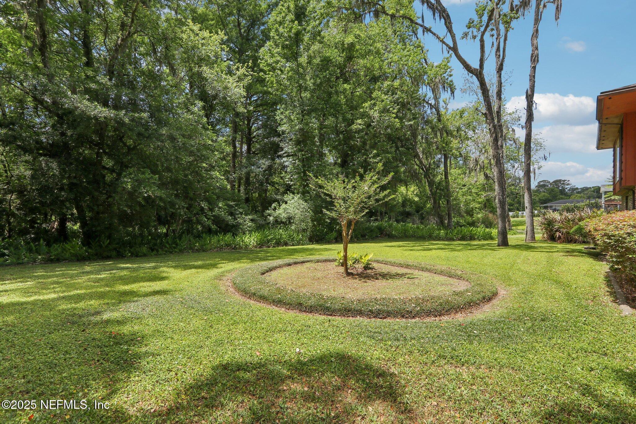 6264 Riviera Lane Jacksonville, FL 32216 - Photo 34 of 43 Backyard