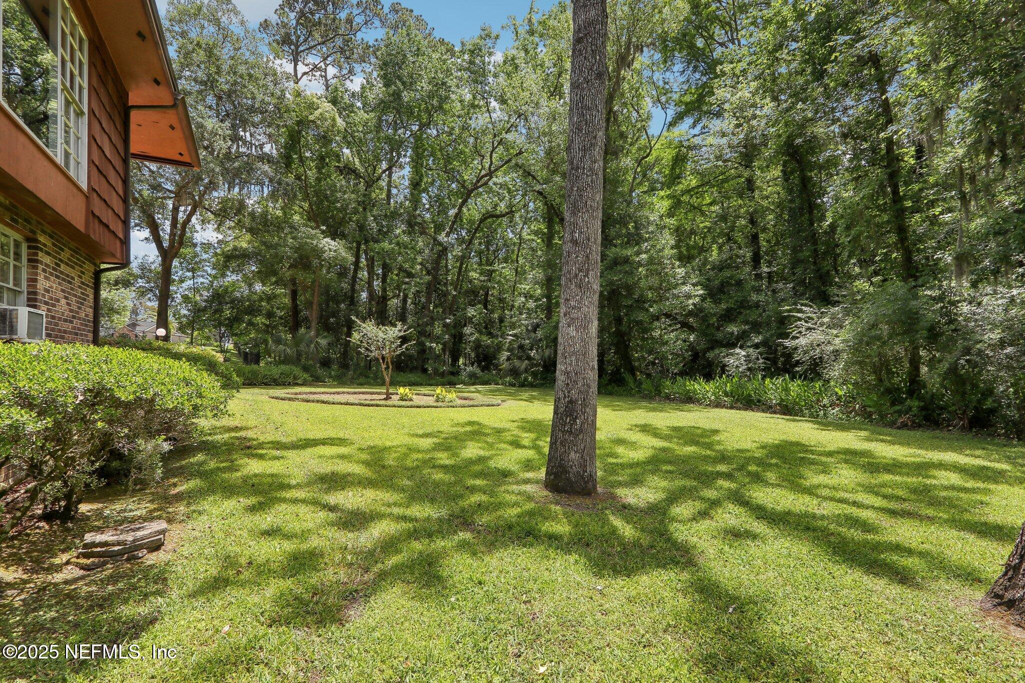 6264 Riviera Lane Jacksonville, FL 32216 - Photo 36 of 43 Backyard