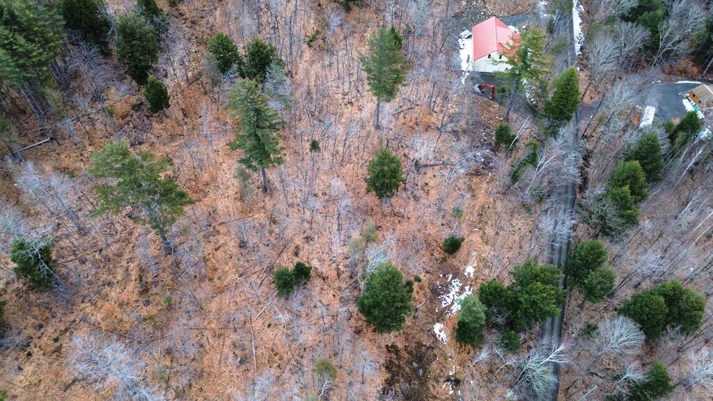 Lot 6 Peterson Road Dover-Foxcroft, ME 04426 - Photo 12 of 21 DJI_0024