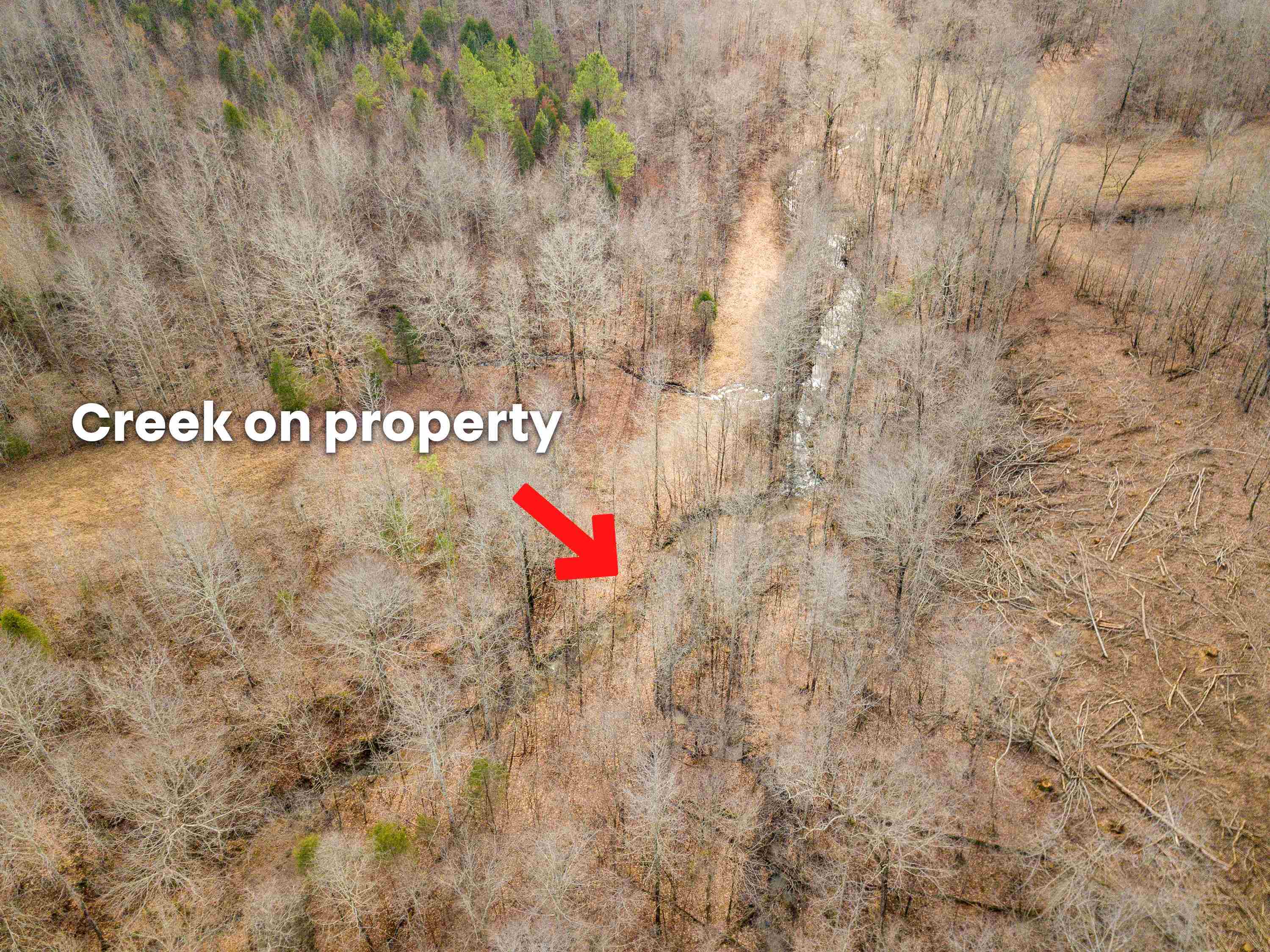 341 Danley Road Iron City, TN 38463 - Photo 11 of 22 Gallery Image 11