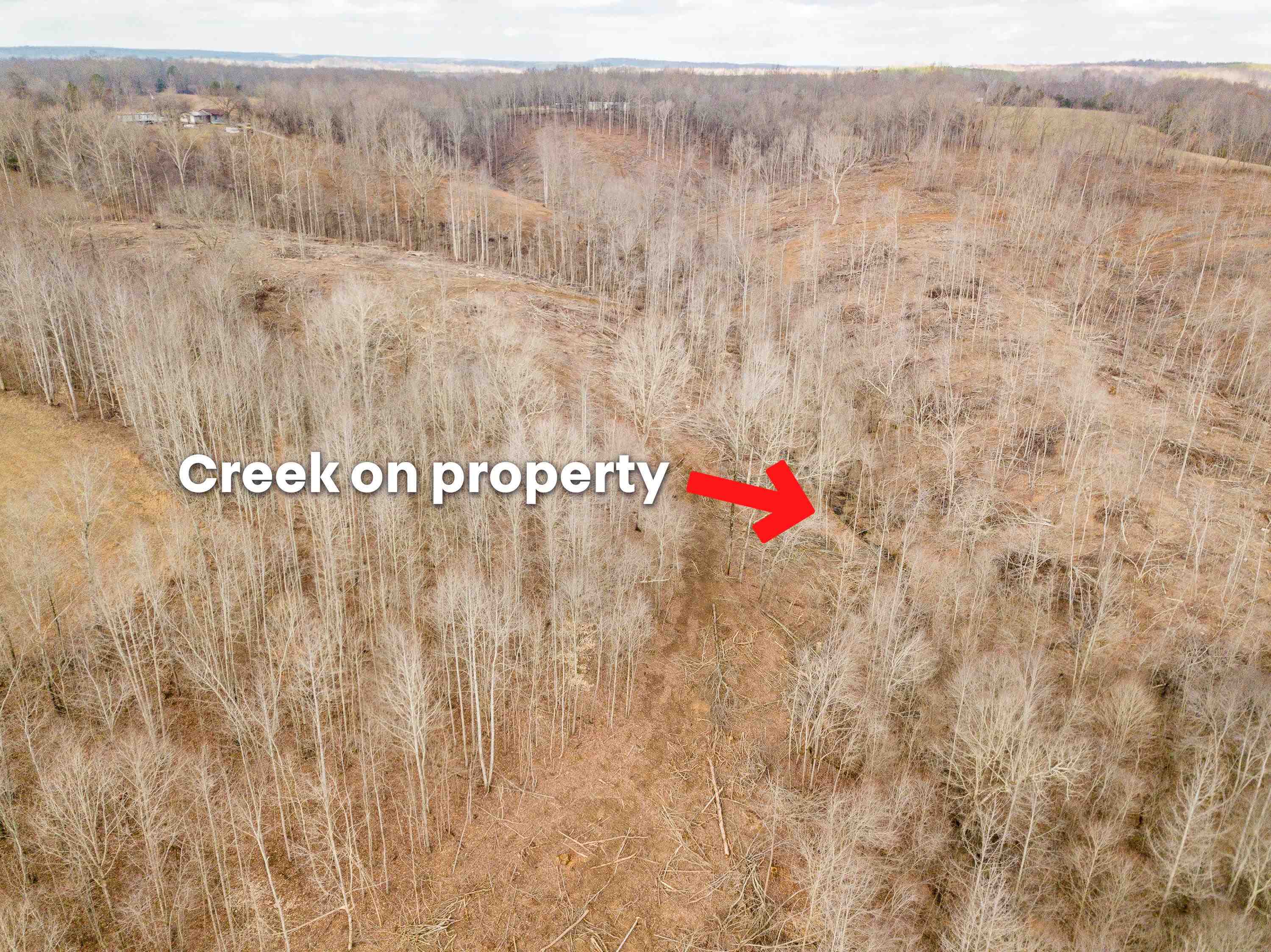 341 Danley Road Iron City, TN 38463 - Photo 13 of 22 Gallery Image 13