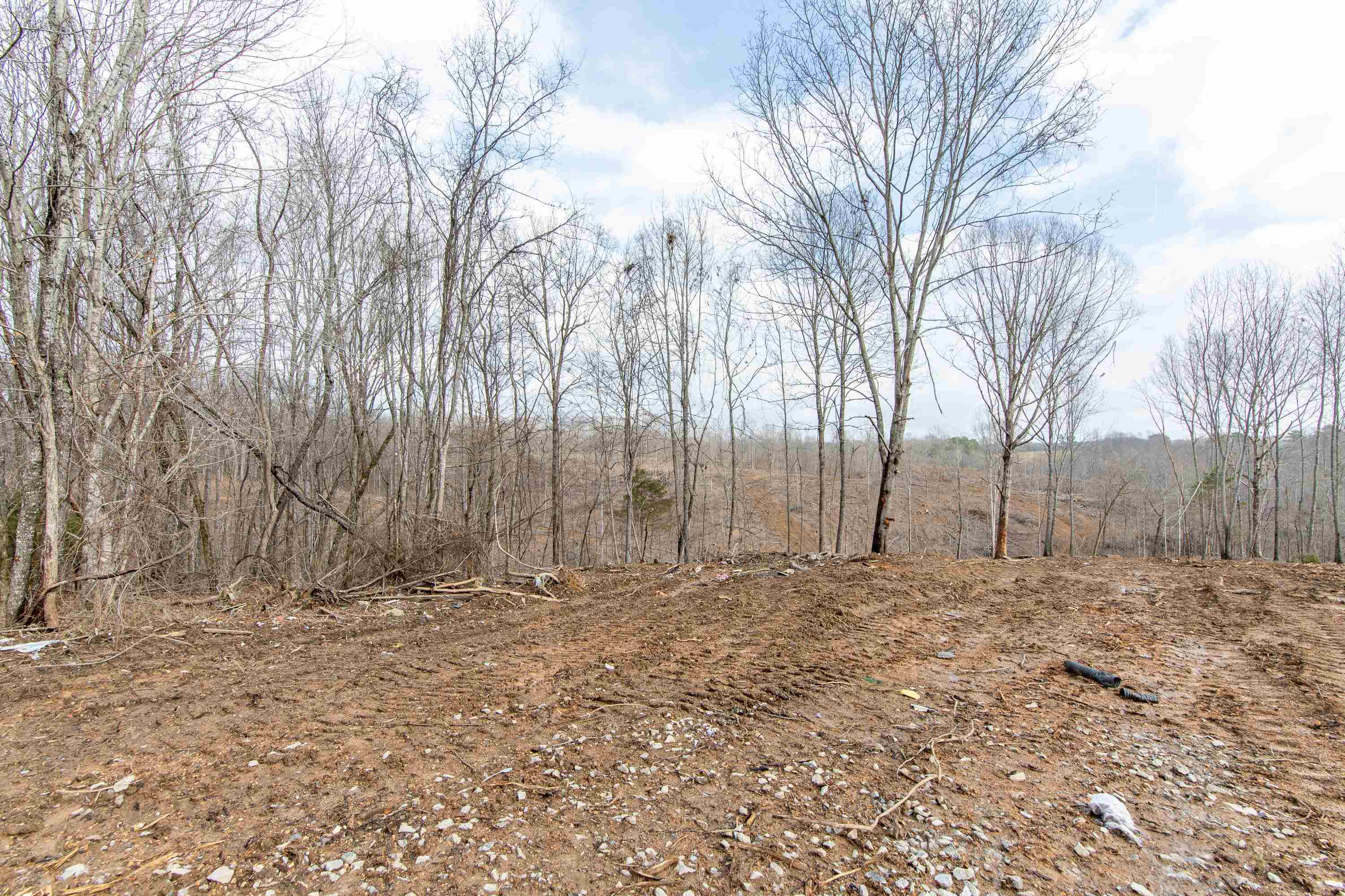 341 Danley Road Iron City, TN 38463 - Photo 3 of 22 Gallery Image 3