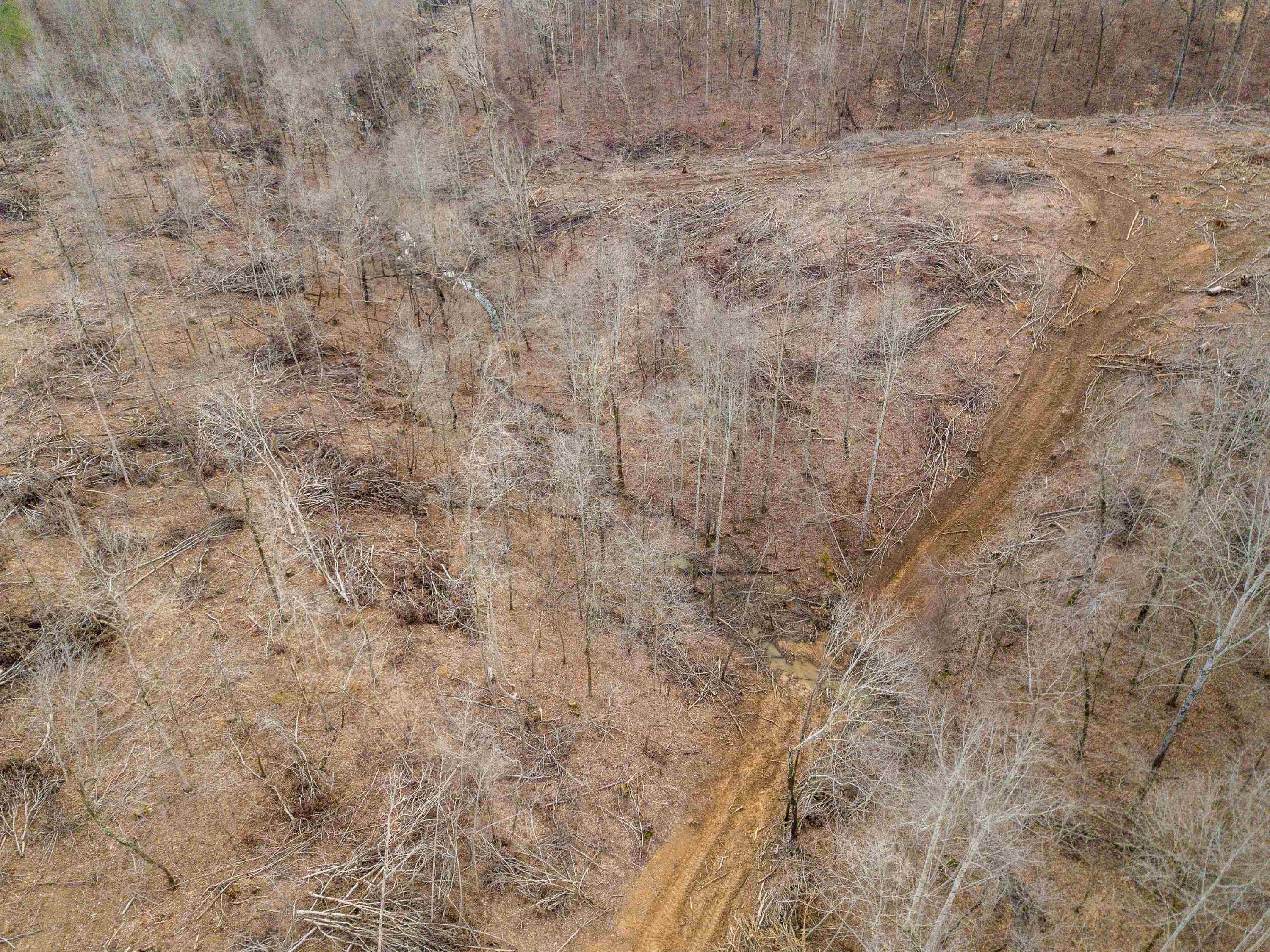 341 Danley Road Iron City, TN 38463 - Photo 10 of 22 Gallery Image 10