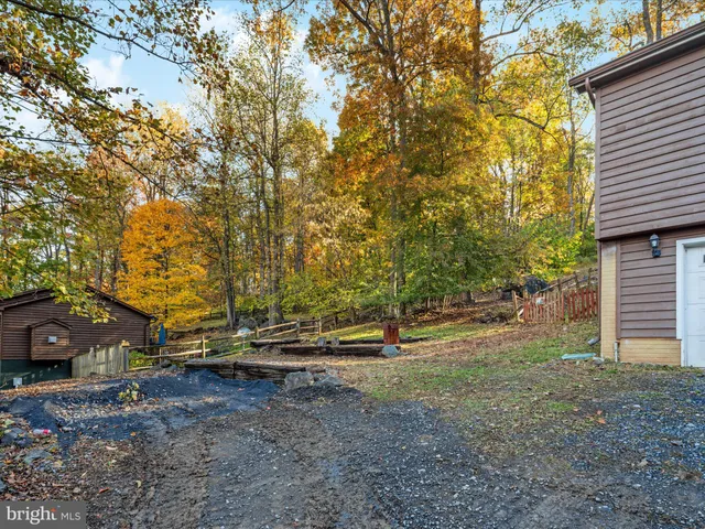 a view of a backyard with large trees