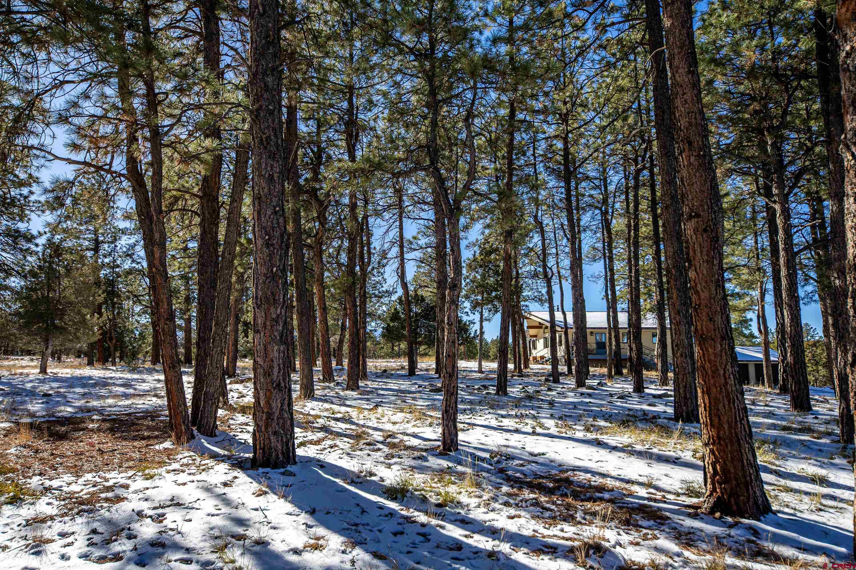 435 Juniper Road North Ridgway, CO 81432 - Photo 31 of 33 Gallery Image 31