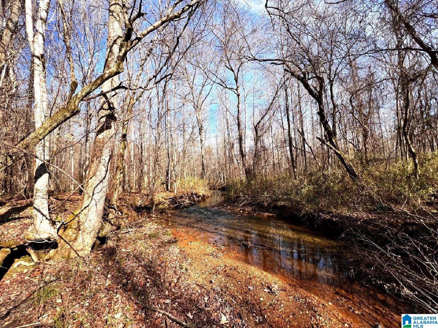 3045 Corinth Road, Unit 56 ACRES Cragford, AL 36255 - Photo 12 of 29