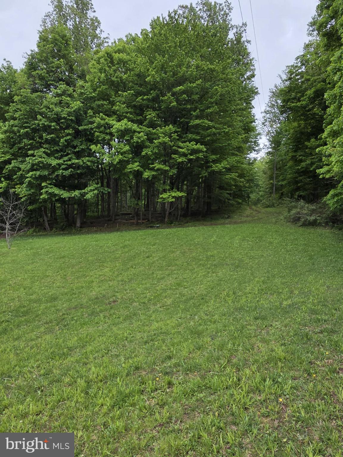 33 Crull Trace Landisburg, PA 17040 - Photo 39 of 69 SIDE YARD