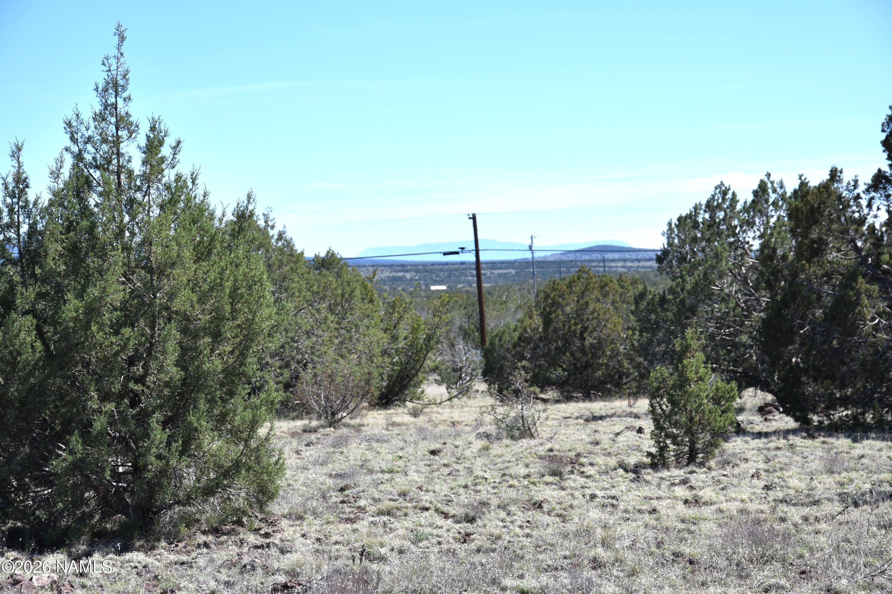 3744 Verde Road Williams, AZ 86046 - Photo 9 of 18 DSC_5042