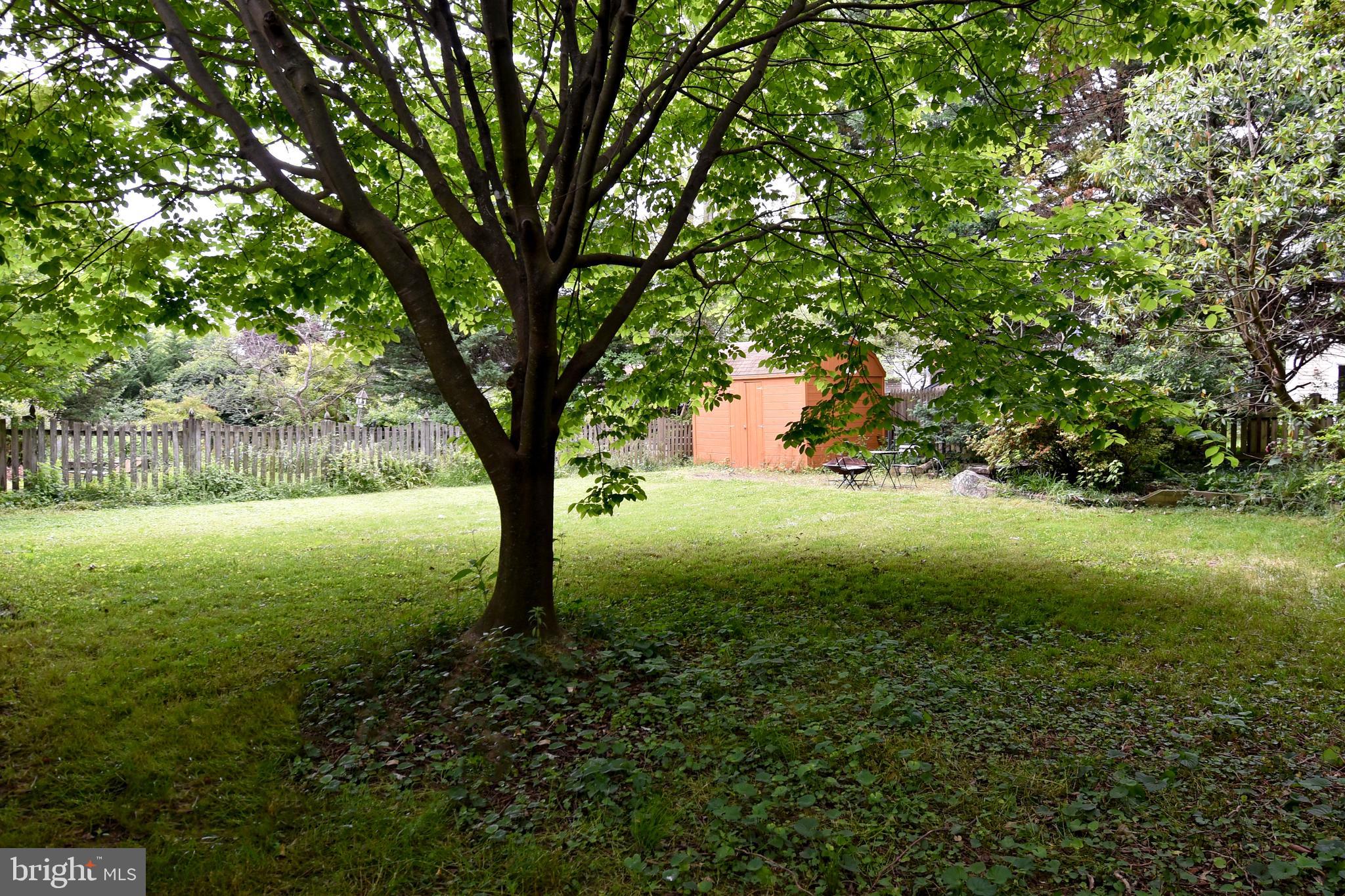 6246 22nd Road North Arlington, VA 22205 - Photo 36 of 38