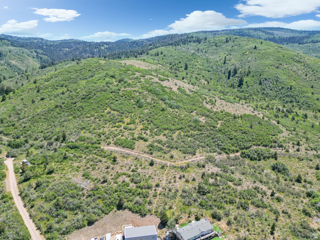 2459 Painter Road Marion, UT 84036 - Photo 27 of 42 Expansive property featuring a mountainous landscape, abundant natural foliage, and a visible dirt road