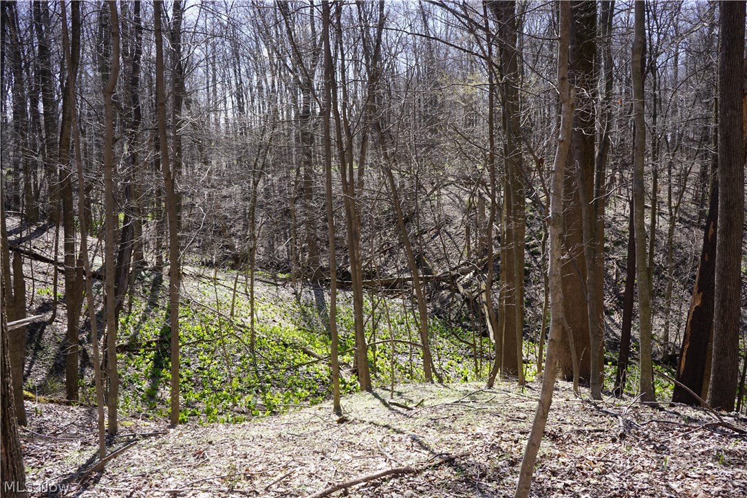 11615 Clary Road Wakeman, OH 44889 - Photo 20 of 22 Gallery Image 20