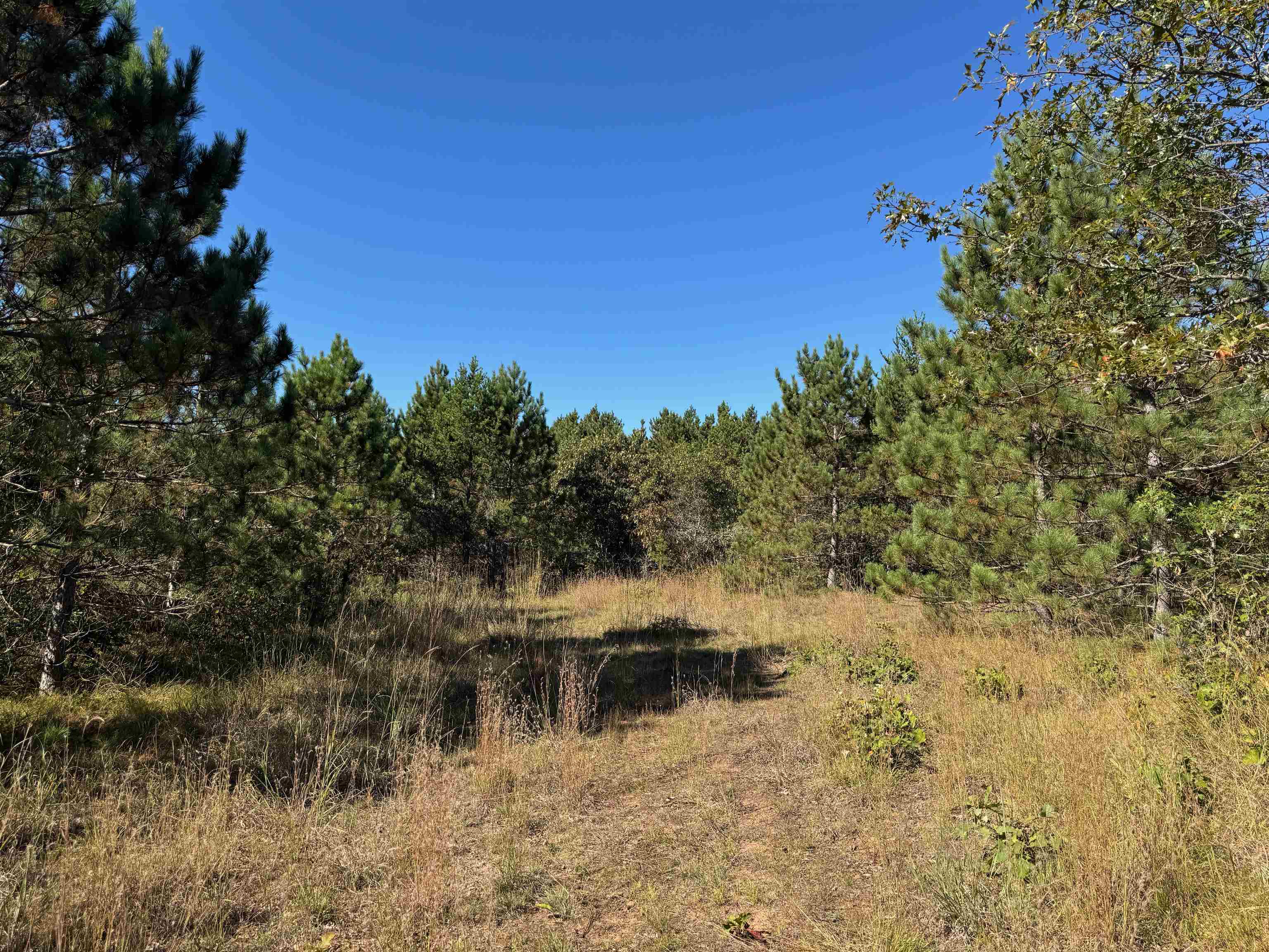 Lot 18 Cove Lane Gordon, WI 54838 - Photo 11 of 25 View of nature