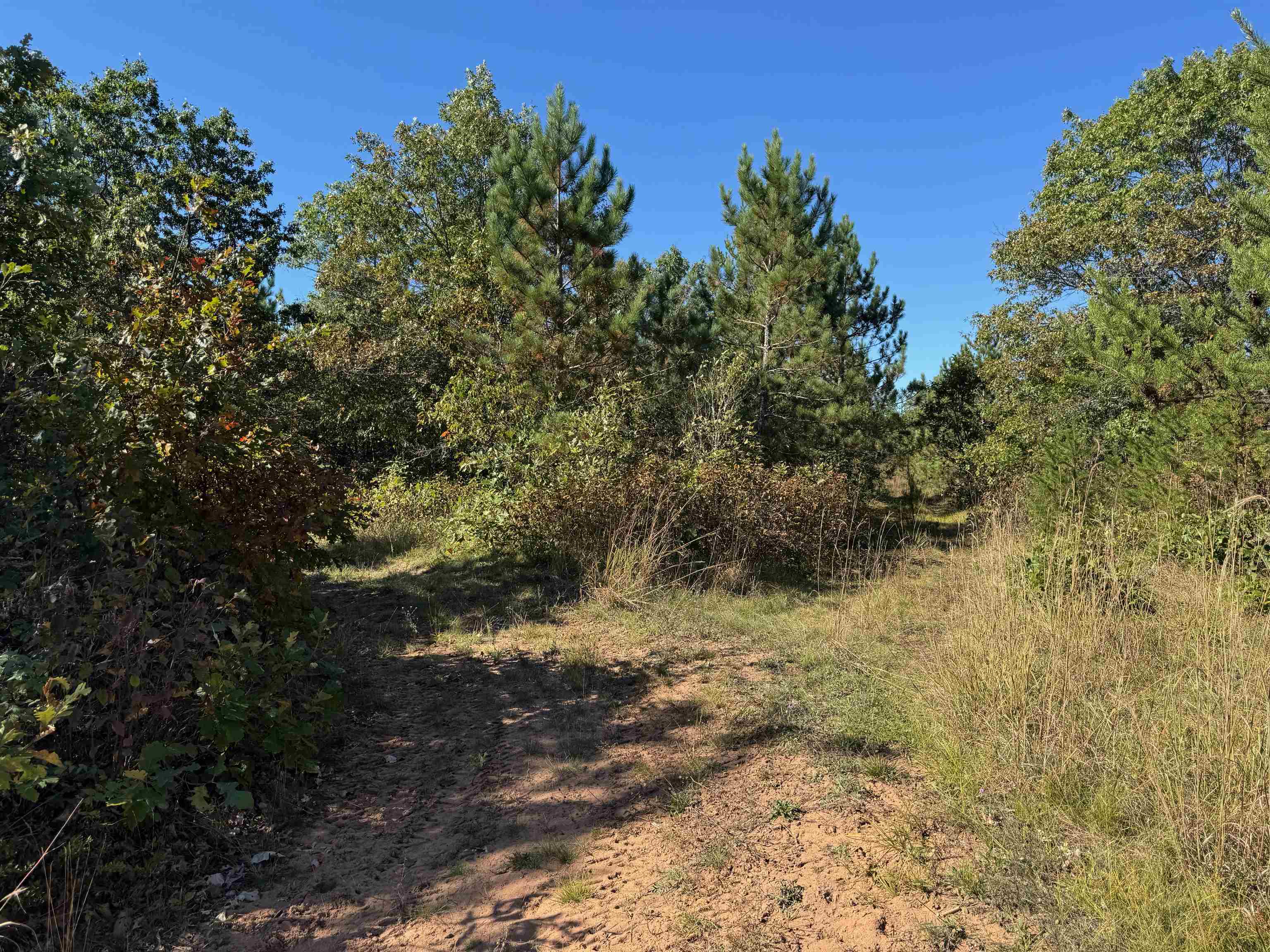 Lot 18 Cove Lane Gordon, WI 54838 - Photo 13 of 25 View of undeveloped land