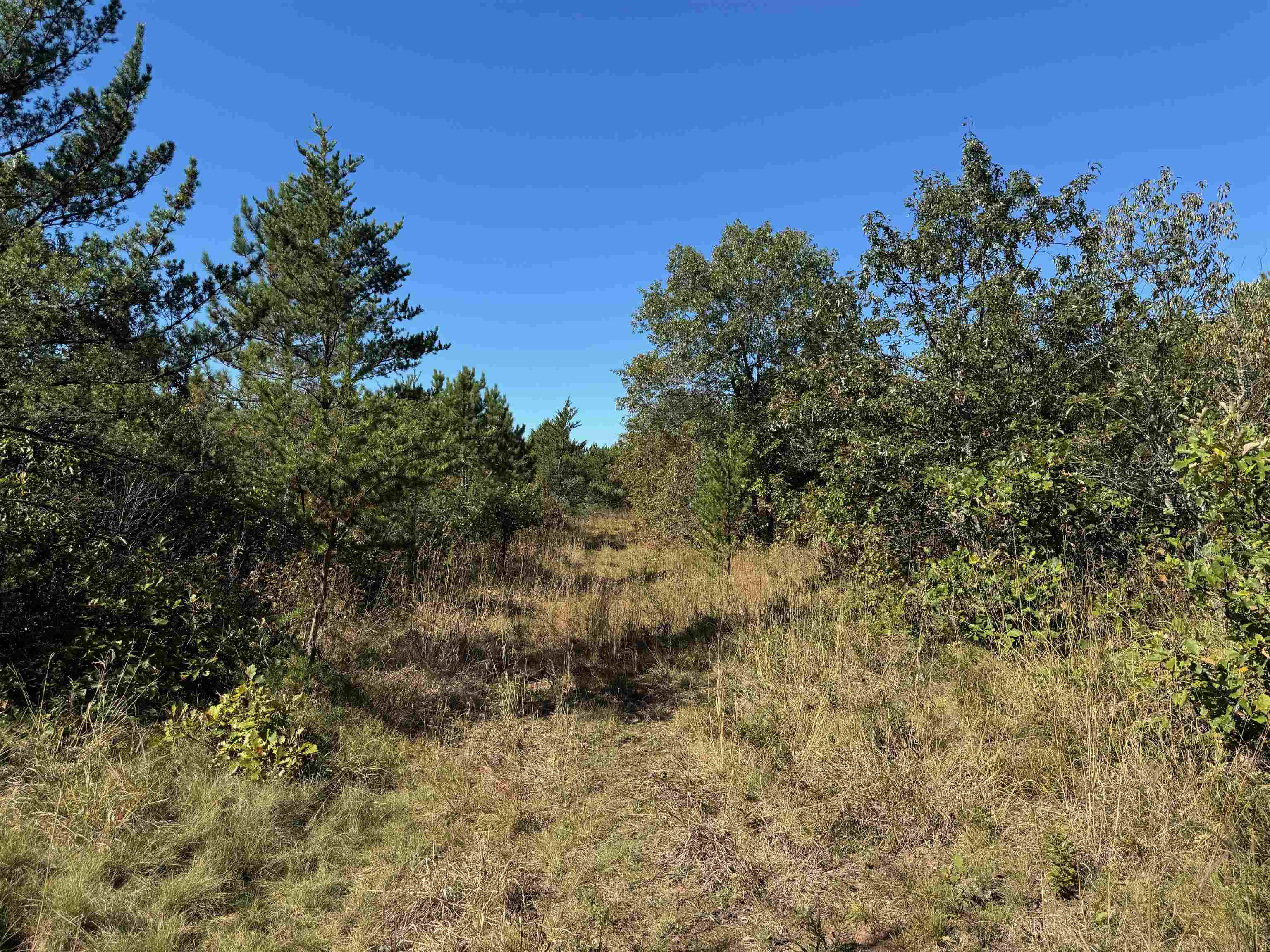 Lot 18 Cove Lane Gordon, WI 54838 - Photo 15 of 25 View of undeveloped land