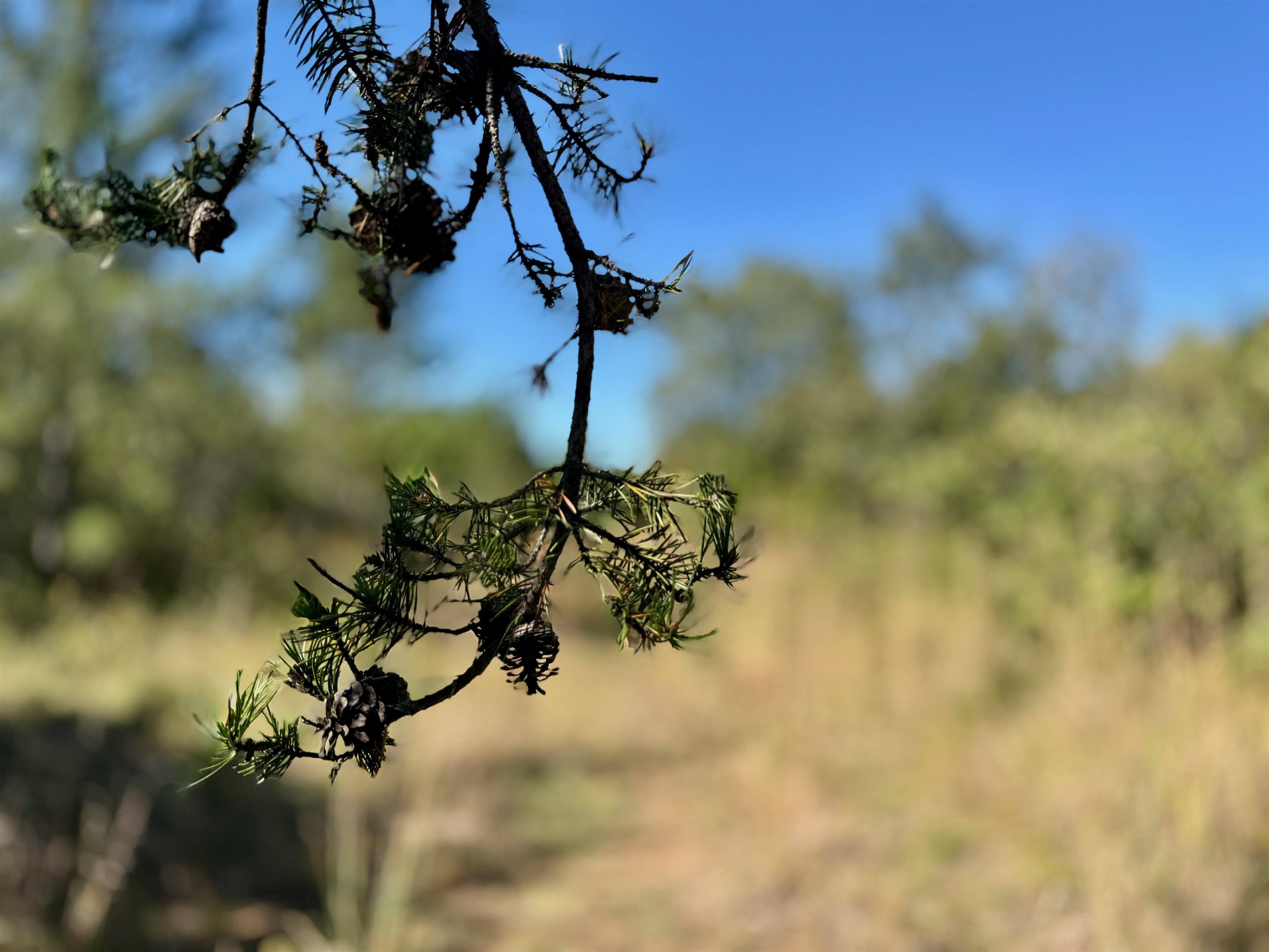 Lot 18 Cove Lane Gordon, WI 54838 - Photo 16 of 25 Exterior view