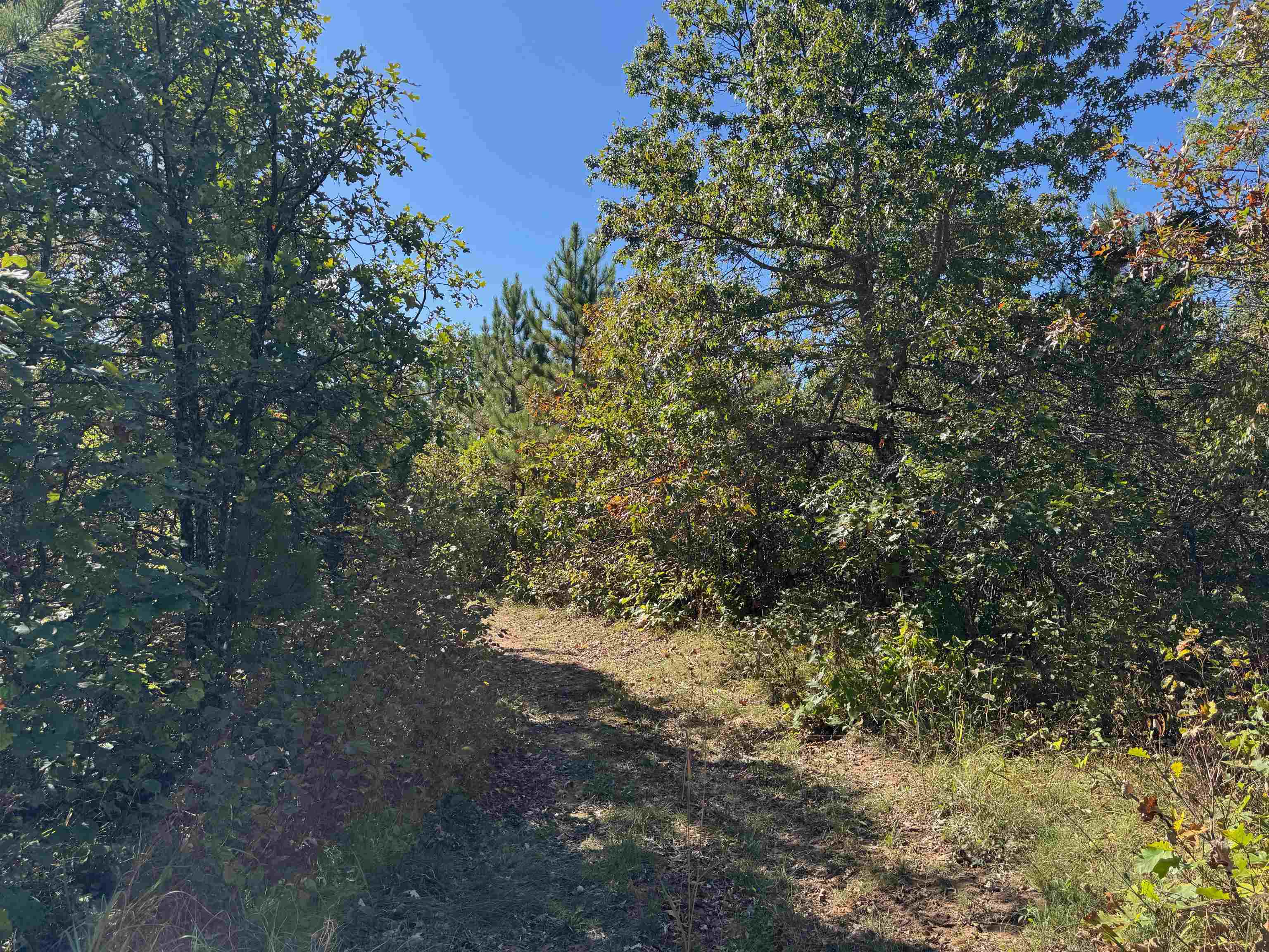 Lot 18 Cove Lane Gordon, WI 54838 - Photo 17 of 25 View of local wilderness