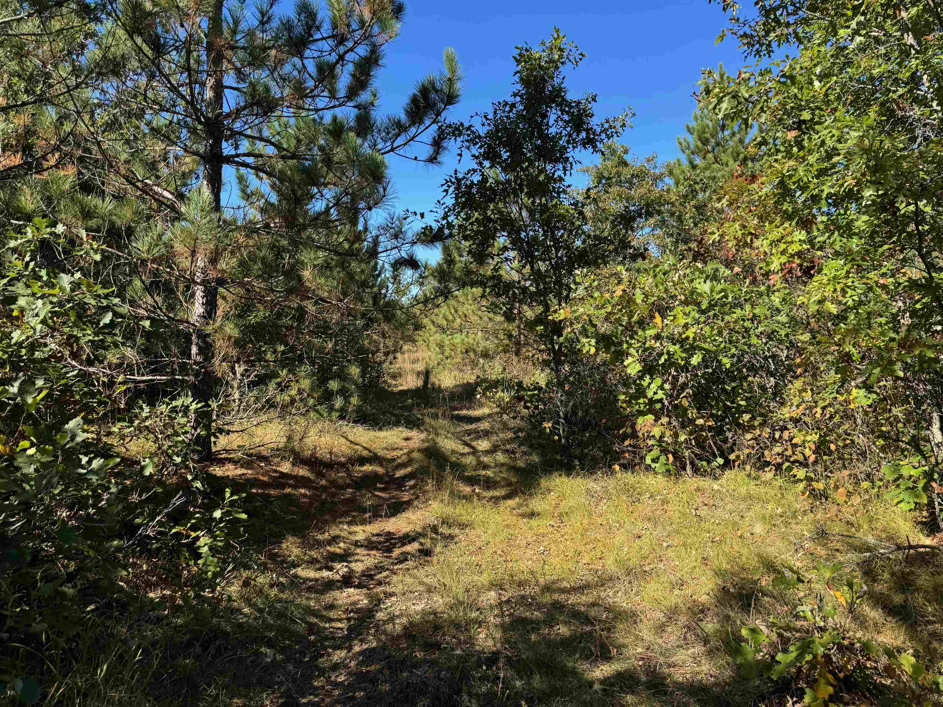 Lot 18 Cove Lane Gordon, WI 54838 - Photo 18 of 25 View of nature