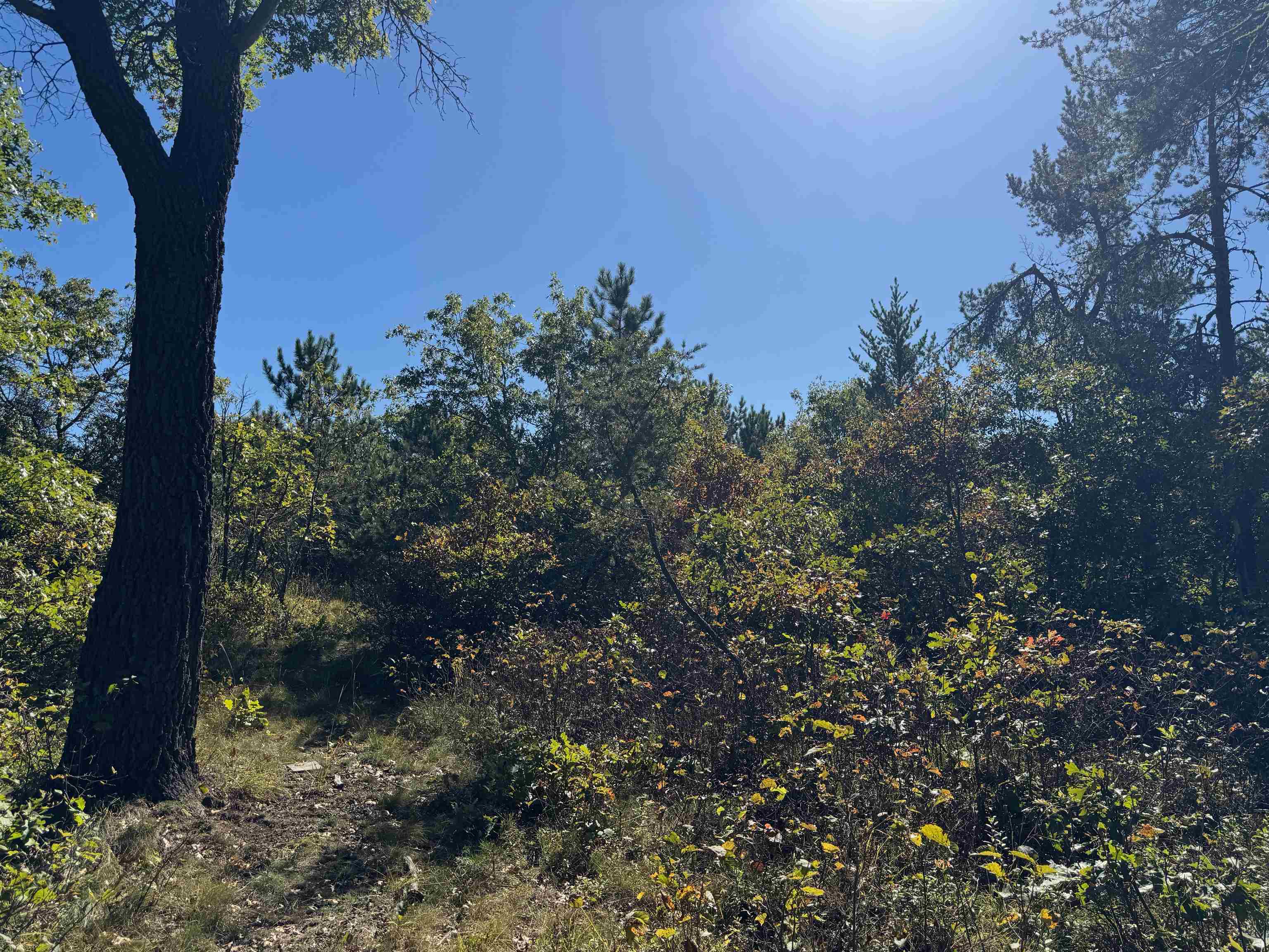 Lot 18 Cove Lane Gordon, WI 54838 - Photo 9 of 25 View of local wilderness