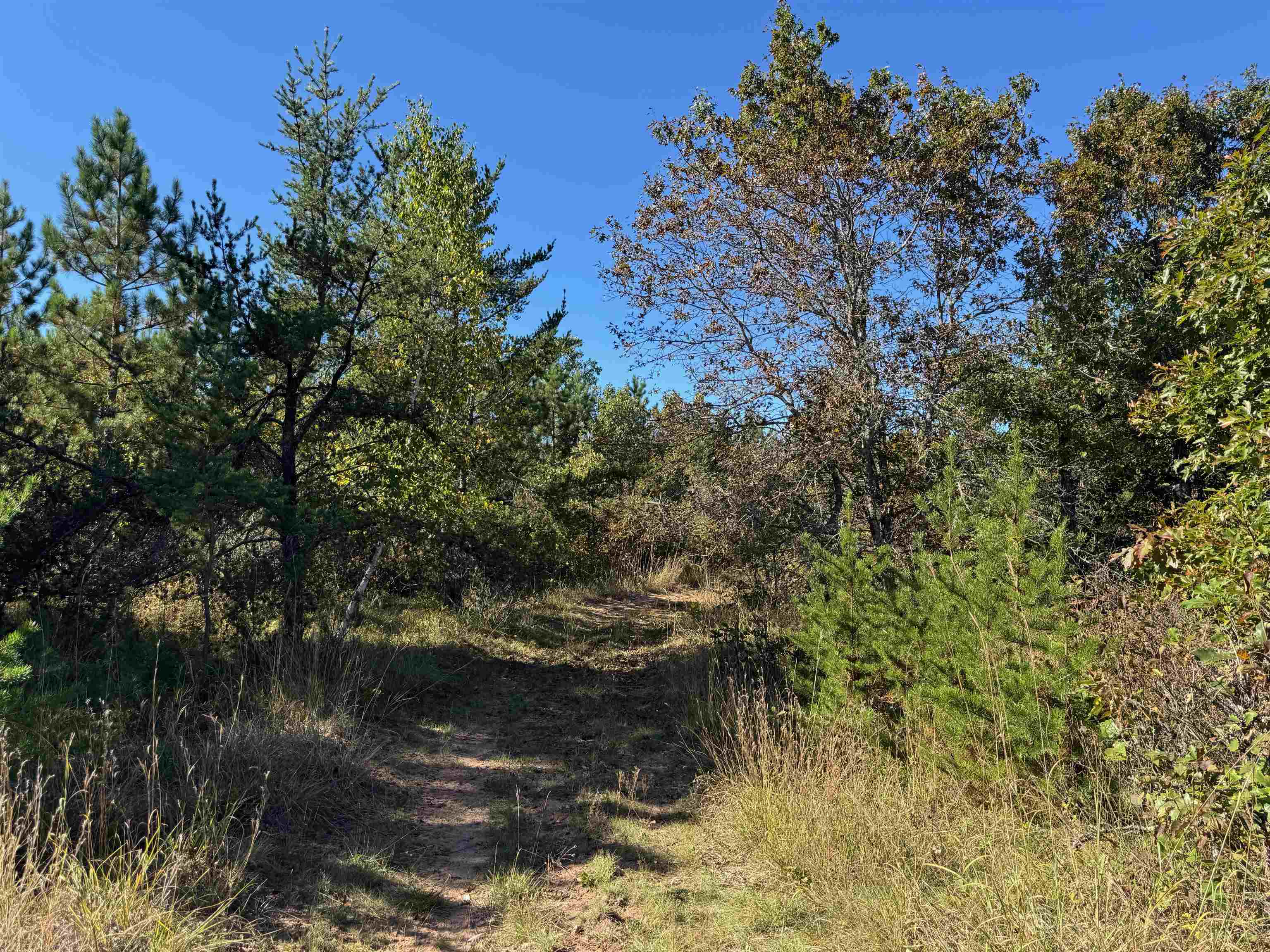 Lot 18 Cove Lane Gordon, WI 54838 - Photo 10 of 25 View of undeveloped land