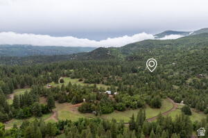2657 East Oak Tree Drive, Unit 22 Springdale, UT 84767 - Photo 11 of 15 Bird's eye view of a heavily wooded area and a mountainous background