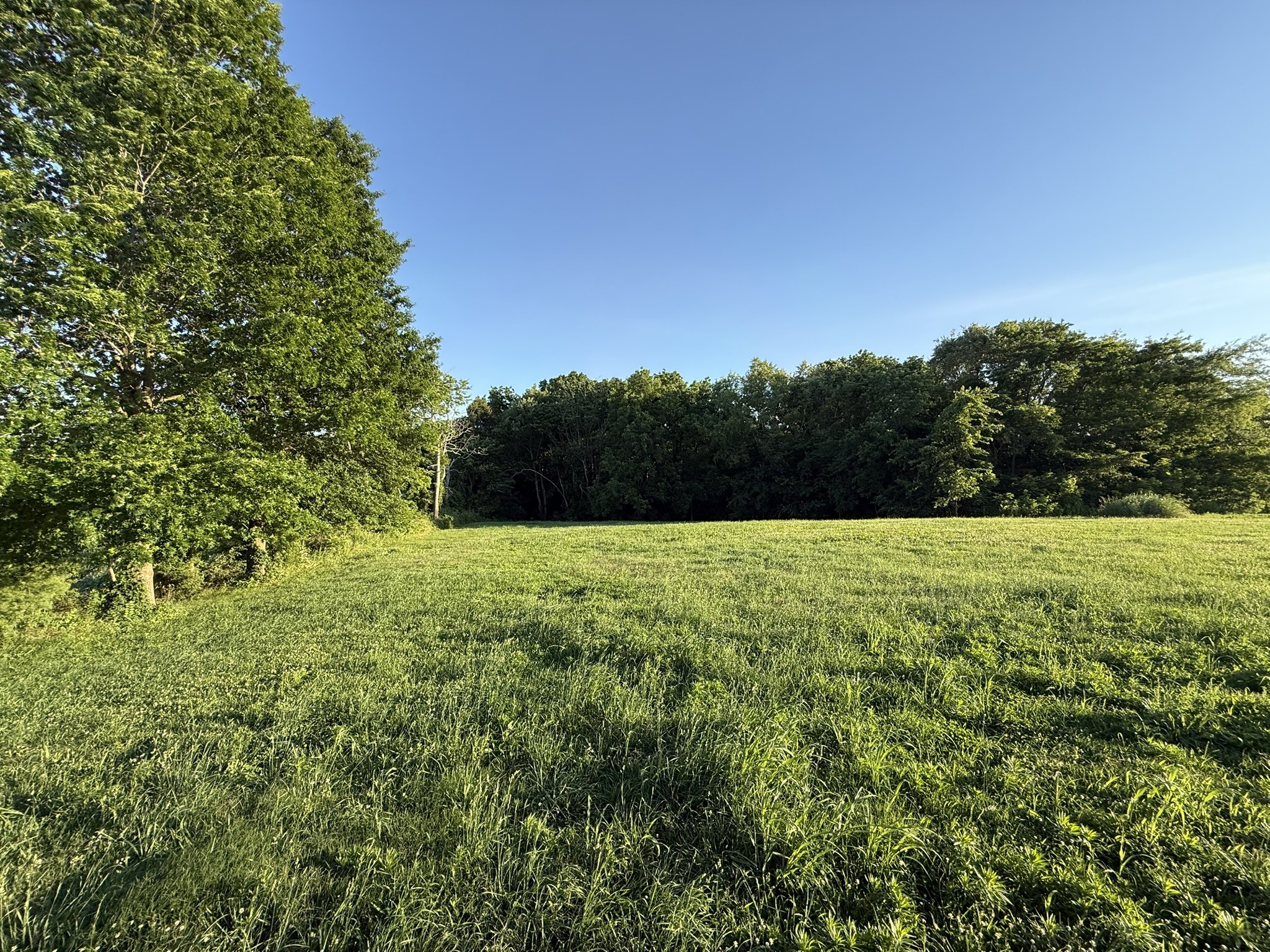 1397 Watts Road Trenton, KY 42286 - Photo 3 of 13