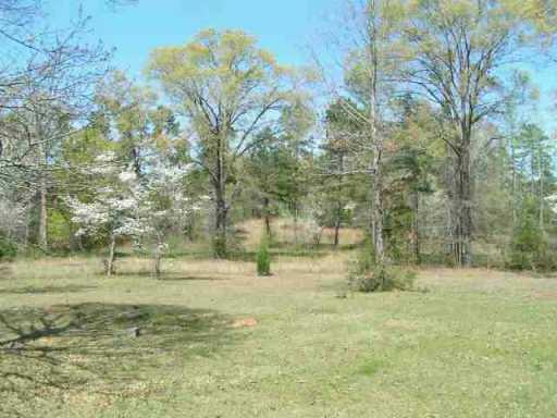 1213 Donaldson Road Dry Prong, LA 71423 - Photo 8 of 9 Gallery Image 8