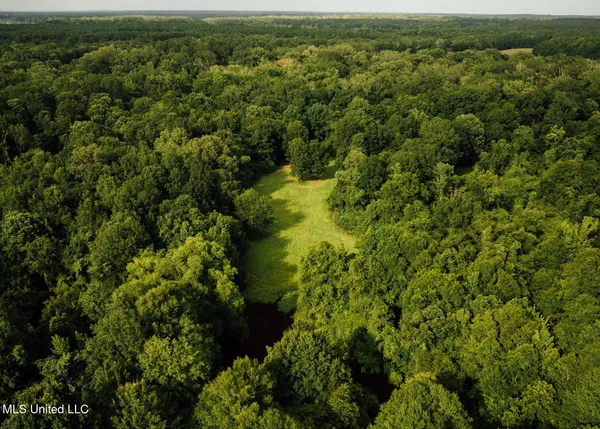 $8,215,200 | 1267 Way Road, Canton, MS 39046
