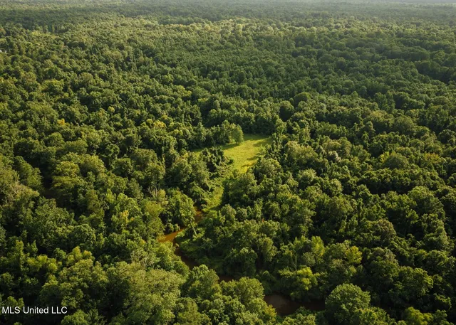 $8,215,200 | 1267 Way Road, Canton, MS 39046