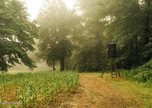 $8,215,200 | 1267 Way Road, Canton, MS 39046