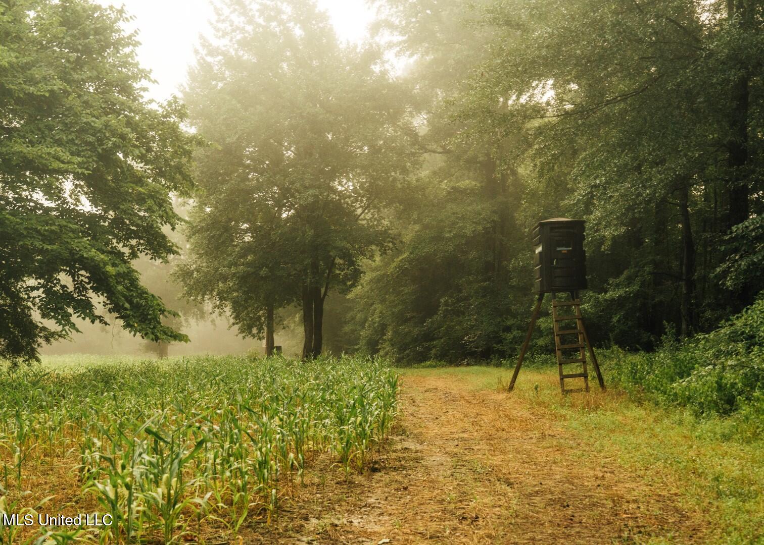 1267 Way Road Canton, MS 39046 - Photo 2 of 50 Castens Creek Pics-7