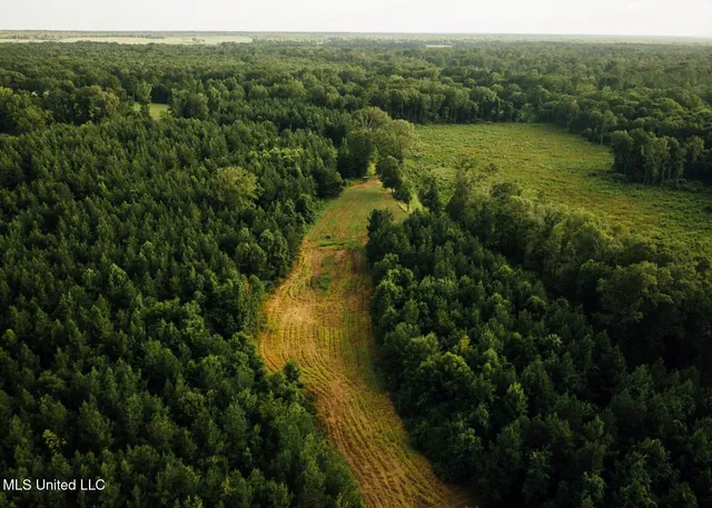 $8,215,200 | 1267 Way Road, Canton, MS 39046