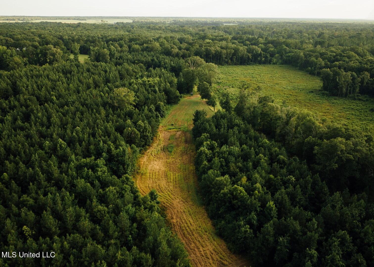 1267 Way Road Canton, MS 39046 - Photo 21 of 50 Castens Creek Pics-50
