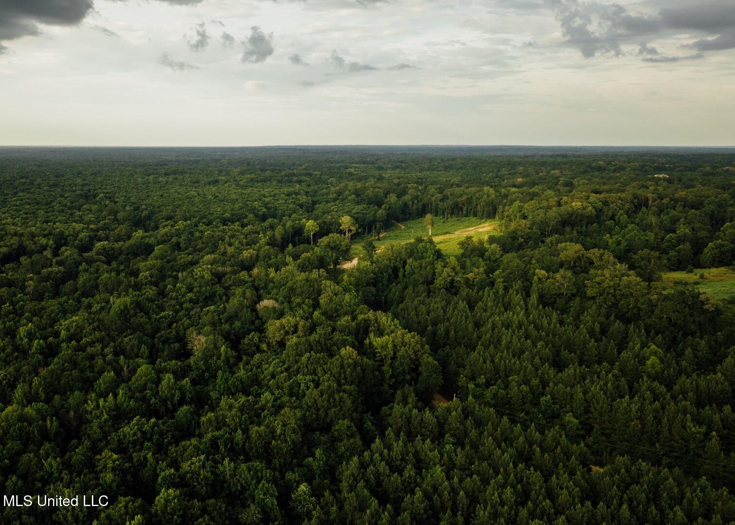 1267 Way Road Canton, MS 39046 - Photo 22 of 50 Castens Creek Pics-51